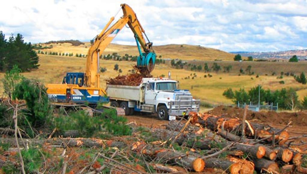 Land Clearing